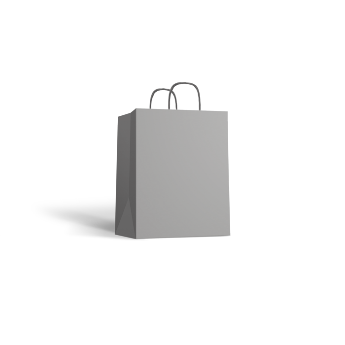 Paper Bags