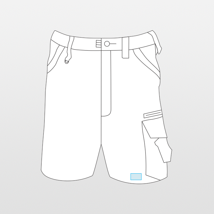 Result | Work-Guard Technical Shorts