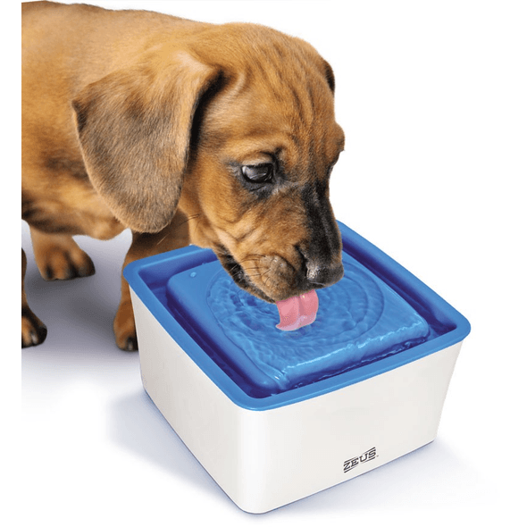 Zeus | Bebedouro Mini Para Cães 1.5L