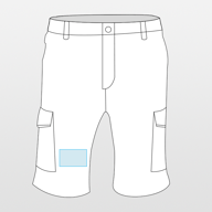 Action Guard Shorts