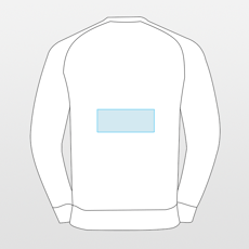SG | Men's raglan sweatshirt