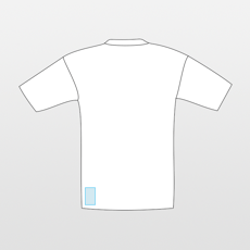 Bella + Canvas | Unisex round neck t-shirt