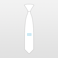 Premier | Tie with clip