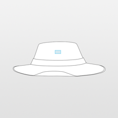 Bull hat