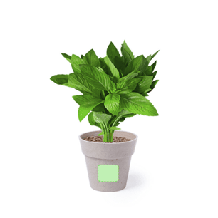 Flowerpot Set Nertel