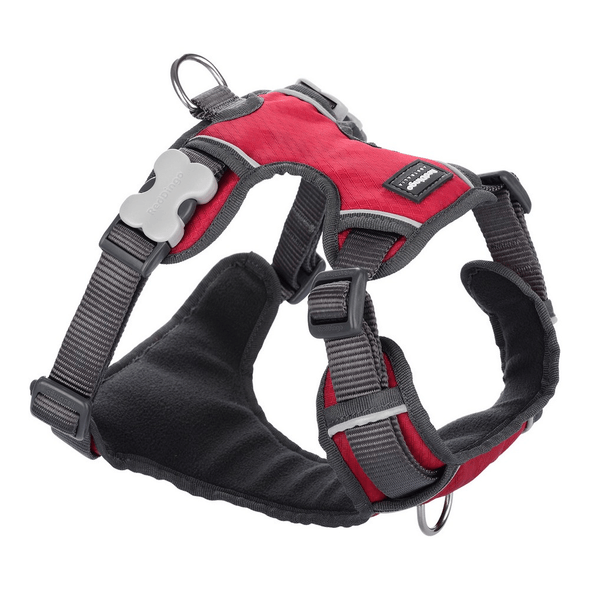 Red Dingo | Arnês Para Cães Acolchoado (BB-11-496)