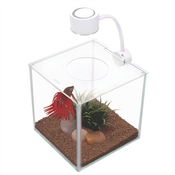 Marina | Aquarium Betta Cubus Bettera 3.4L