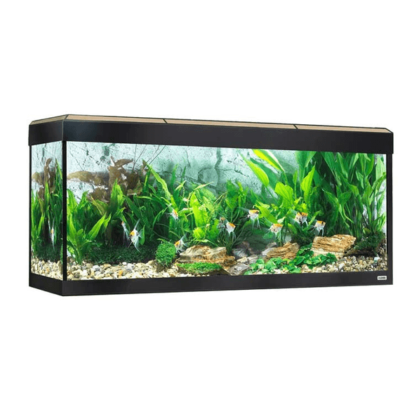 Fluval | - Aquário "Roma" Led Bluetooth