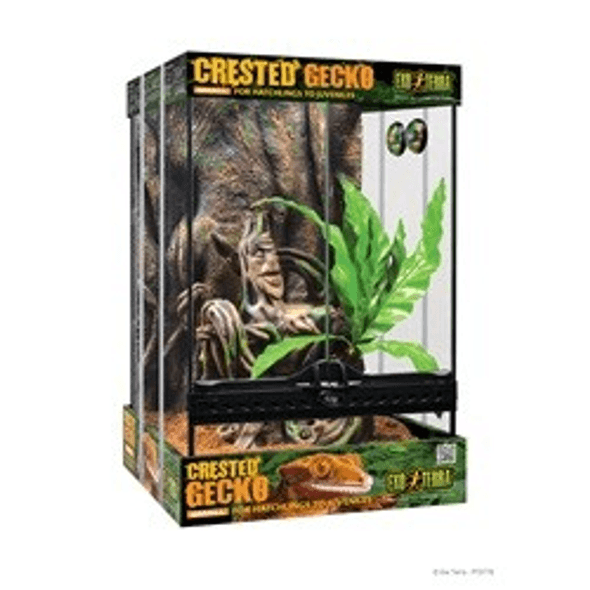 Exo Terra | Terrario Para Gecos