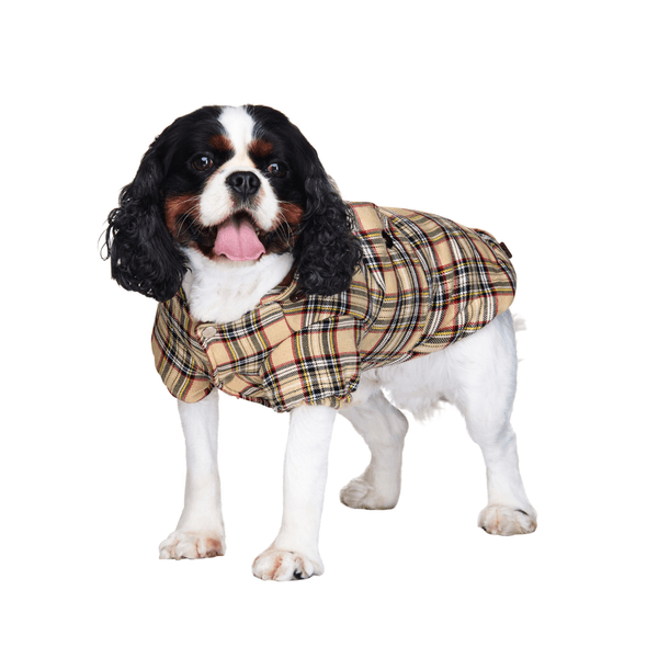 Casaco Para Cães "Tartan" Castanho