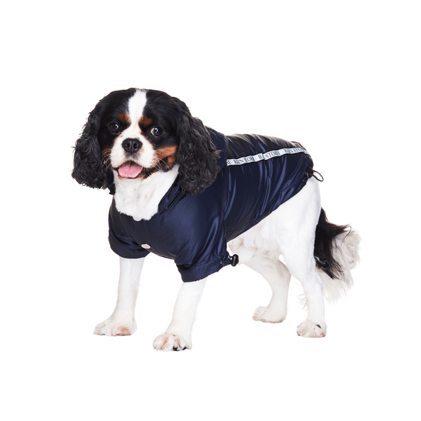 Abrigo De Lluvia Para Perros