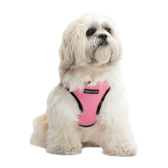 Arnês De Velcro De Malha Macia Com Colete De Segurança Rosa