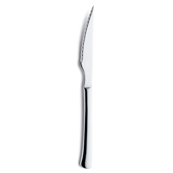 Stainless steel meat knife - AMEFA B.V.™ - Torero